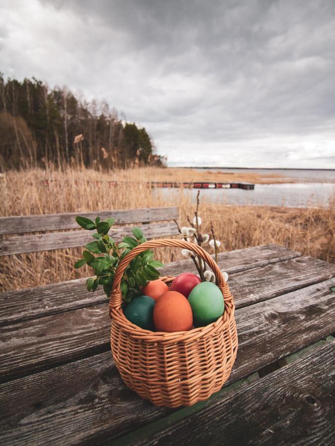 Lesna 21 Dom Poludnie Przy Puszcza Bialowieska Luka ภายนอก รูปภาพ