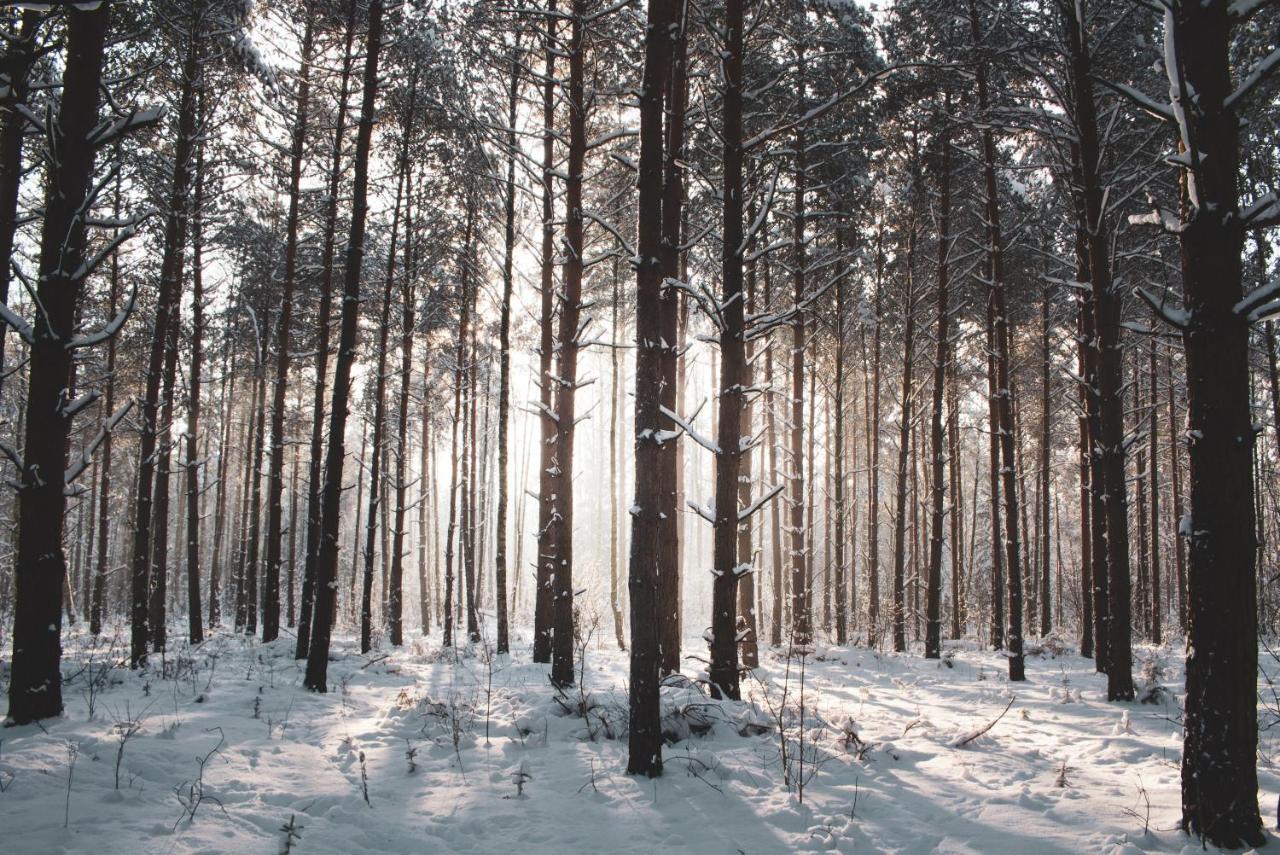 Lesna 21 Dom Poludnie Przy Puszcza Bialowieska Luka ภายนอก รูปภาพ
