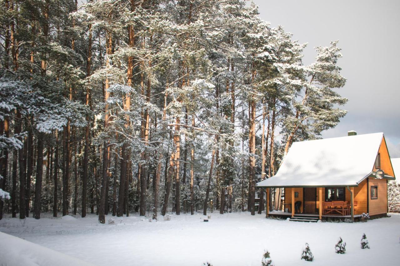 Lesna 21 Dom Poludnie Przy Puszcza Bialowieska Luka ภายนอก รูปภาพ